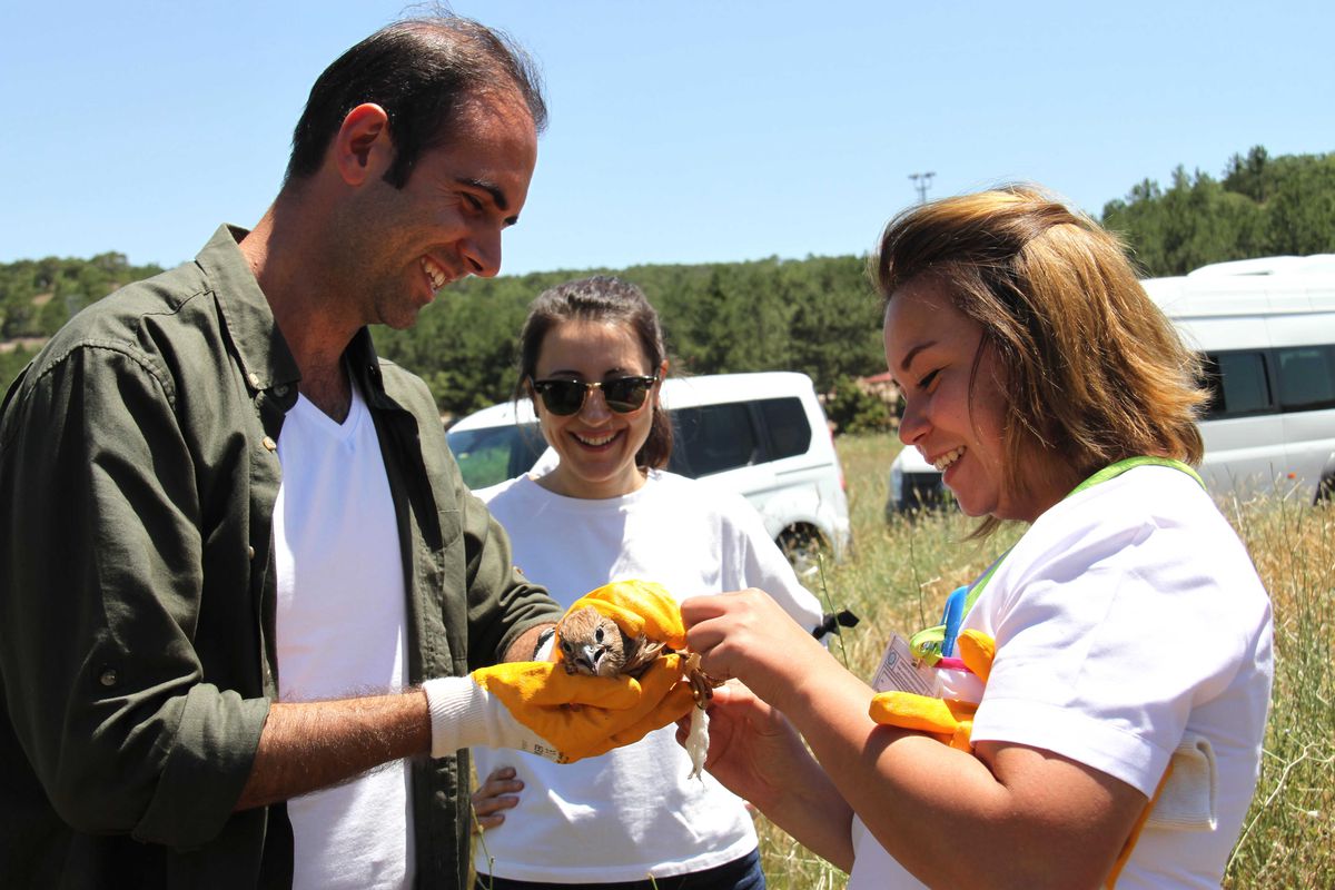 Beş Kuş Daha Doğal Ortamına Döndü