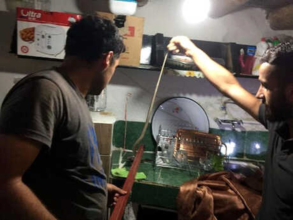 Beytüşşebap\'ta Yılan Paniği