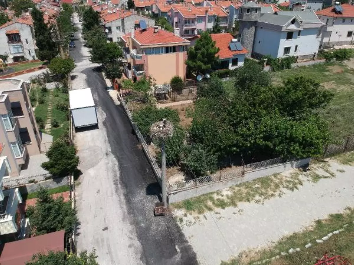 Elektrik Direği 4 Yıldır Leyleklerin Yuvası Oldu