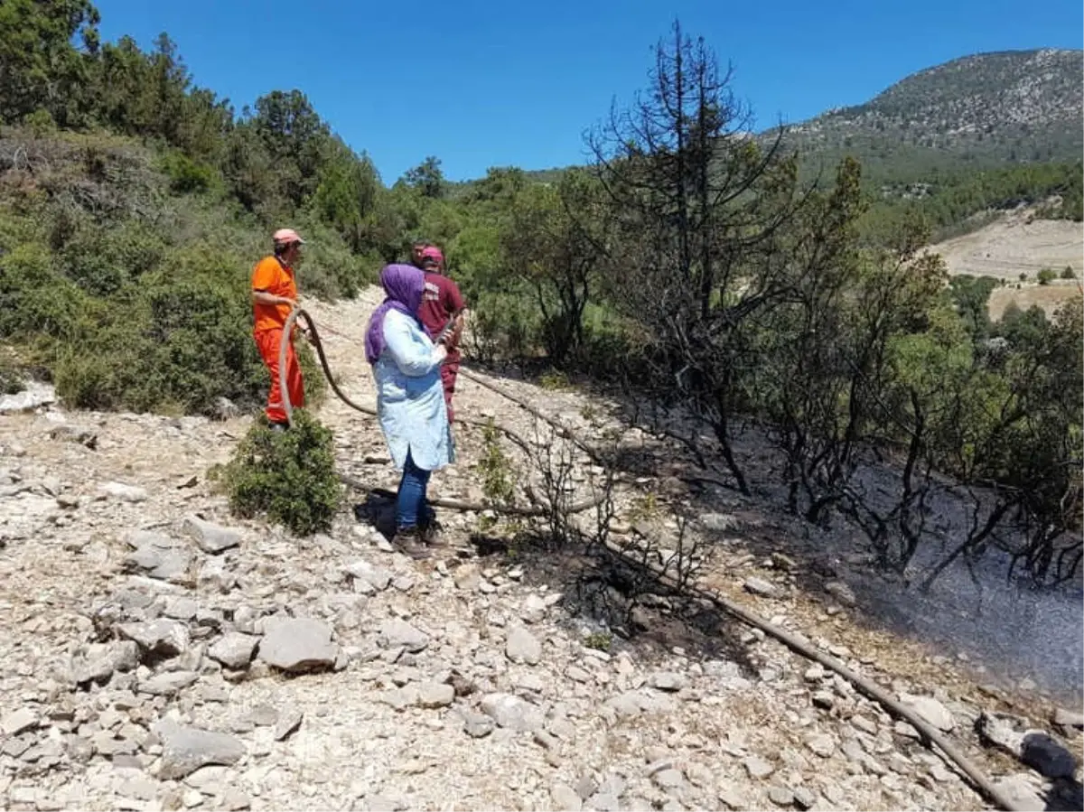 Korkuteli\'nde Sezonun İlk Orman Yangını Ucuz Atlatıldı.