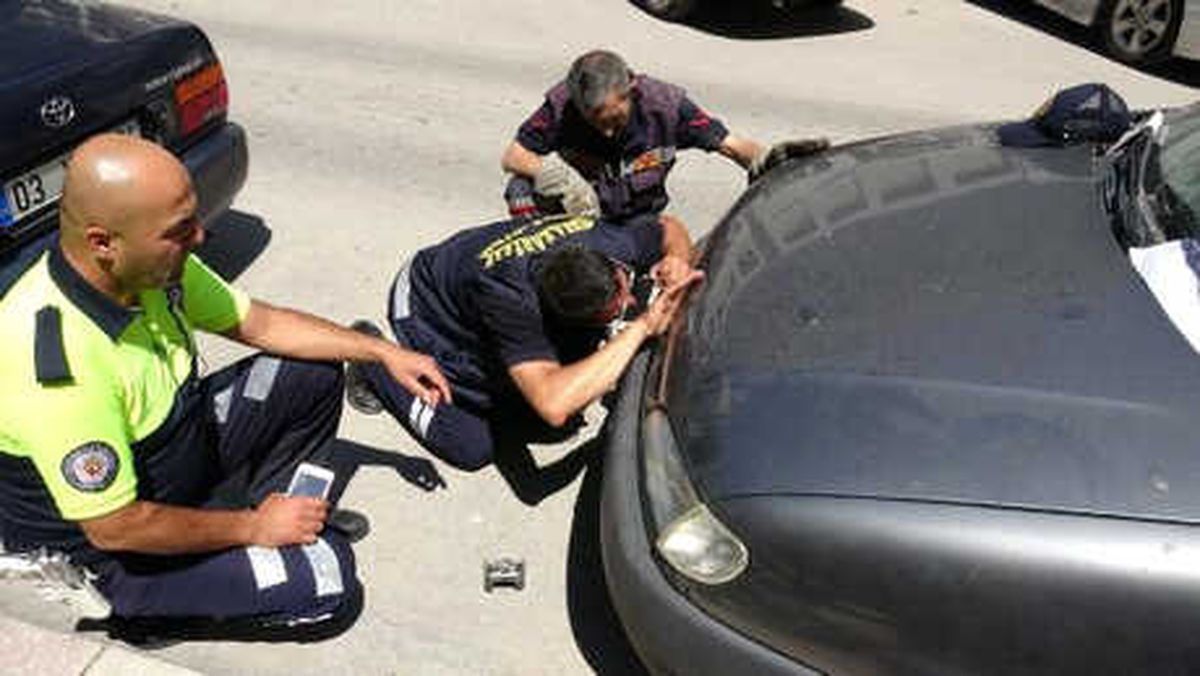 Park Halindeki Aracın Motorunda Sıkışan Kedi Kurtarıldı