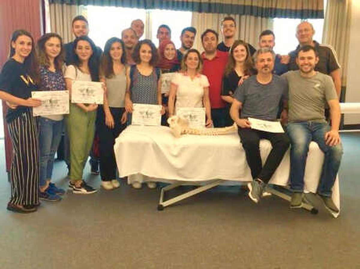 Prof. Dr. Cımbız: Ağrılar, Ameliyatsız ve İlaçsız Tedavi Edilebilir