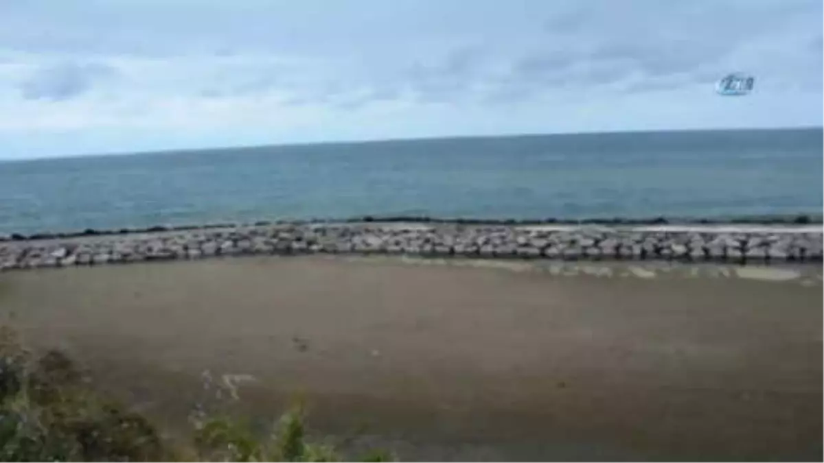 Sinop\'un Kumkapı Sahilindeki Kötü Deniz Kokusu Vatandaşları Rahatsız Ediyor