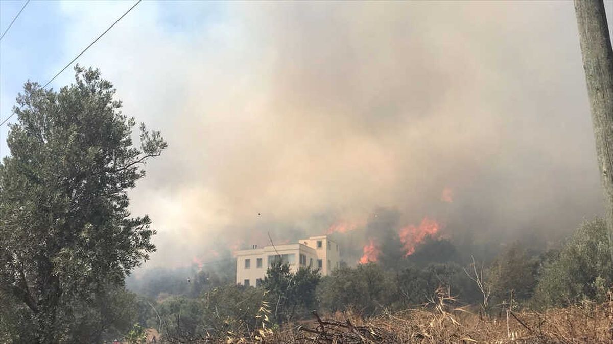 Bodrum\'da Otluk ve Makilik Alanda Yangın