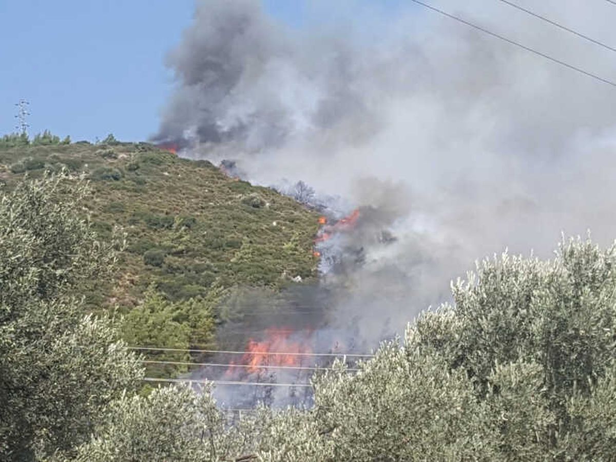 Bodrum\'da Yangın Sonrası Korkunç Manzara