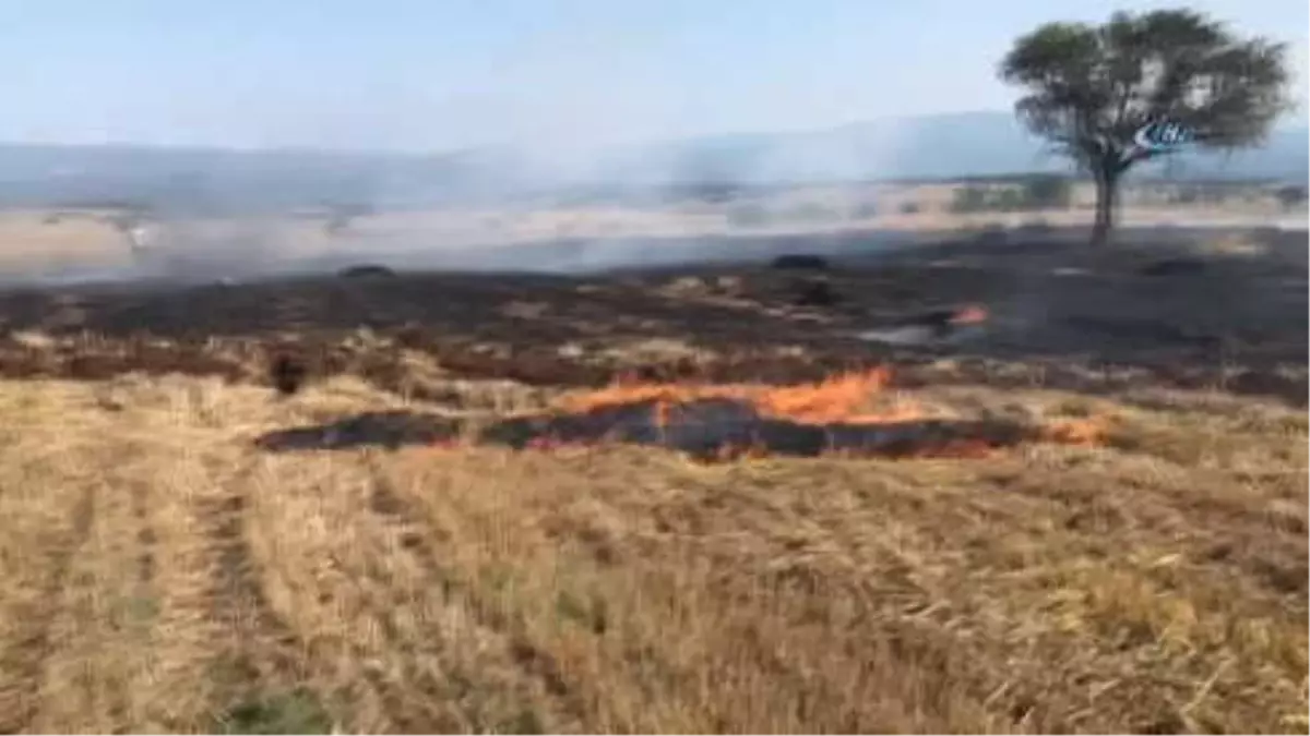 Kargadan Çıktığı Sanılan Yangında 10 Dönüm Buğday Tarlası Yandı