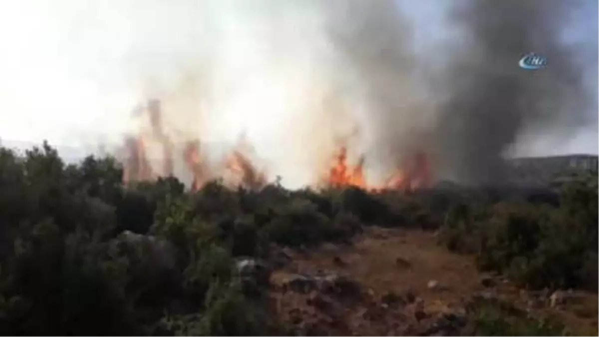 Makilik Alanda Çıkan Yangın Korkuttu