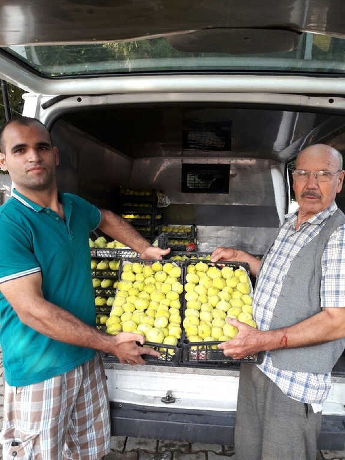 Ödemiş İnciri Bir Kaç Güne Tezgahlarda