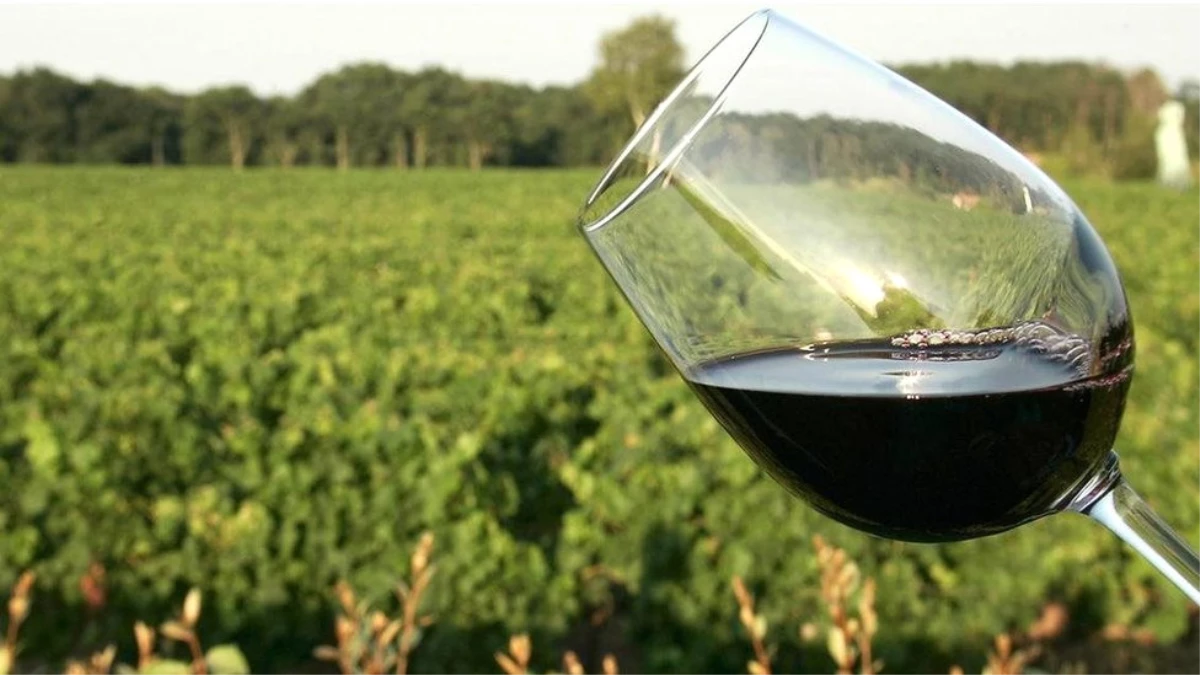 Şarabın Tadını Etkileyen Bağın Toprak Yapısı Mı?