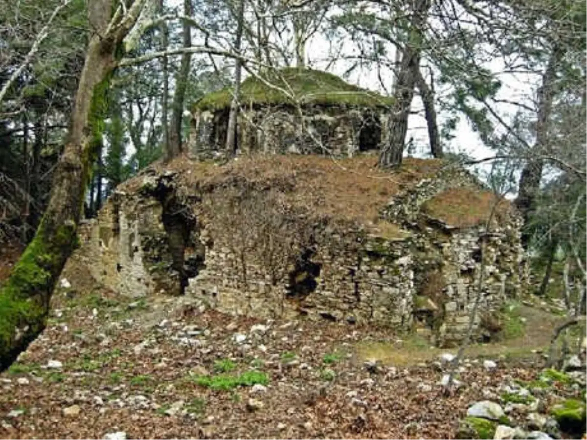 Tarihi Manastır, Ağaçlar Kesilerek Yıkılmaktan Kurtarıldı