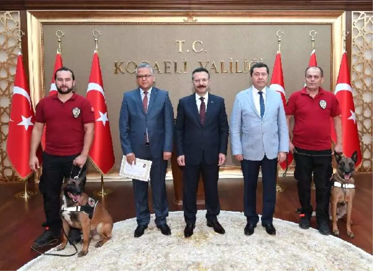 Dedektör Köpeklerle Başarı Belgelerini Aldılar