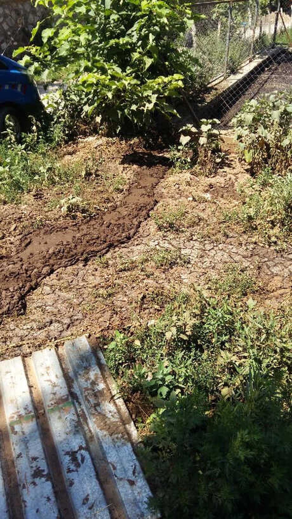 Dereyi Kirleten Besi Çiftliğine İşlem