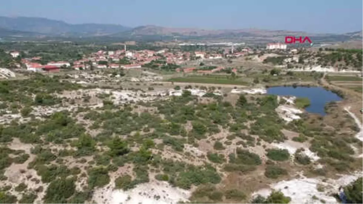 Manisa Taşlaşmış Ağaçlar Turizme Kazandırılmayı Bekliyor Hd