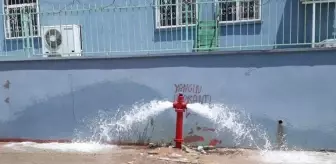 Silopi'de Arıtılmış Su Test Çalışmaları Devam Ediyor