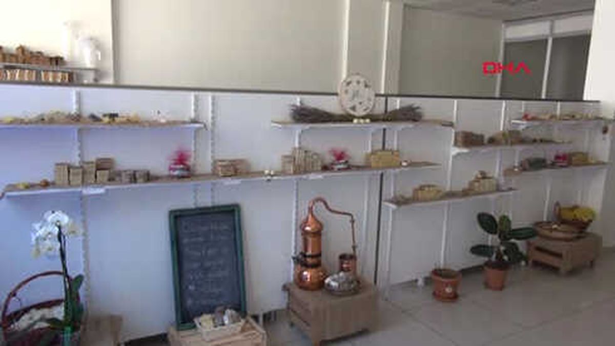 Tunceli Dağlarında Topladığı Bitkilerle Doğal Kozmetik Ürünleri Üretiyor