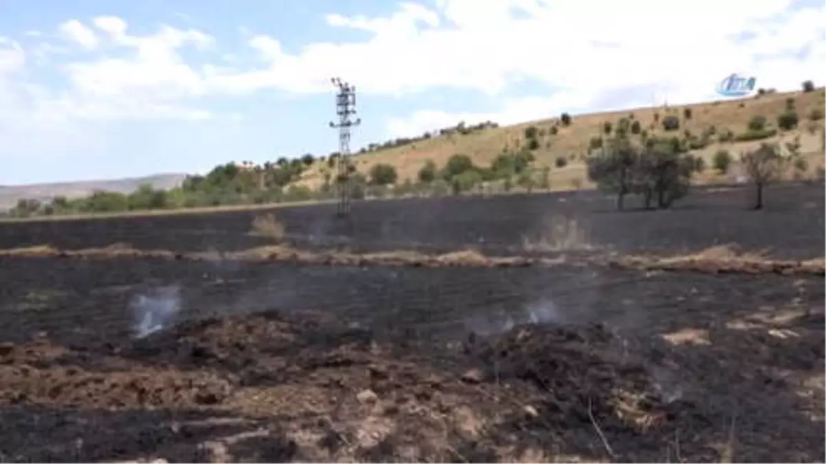 Tunceli\'deki Yangında 100 Dönüm Ekili Alan Kül Oldu