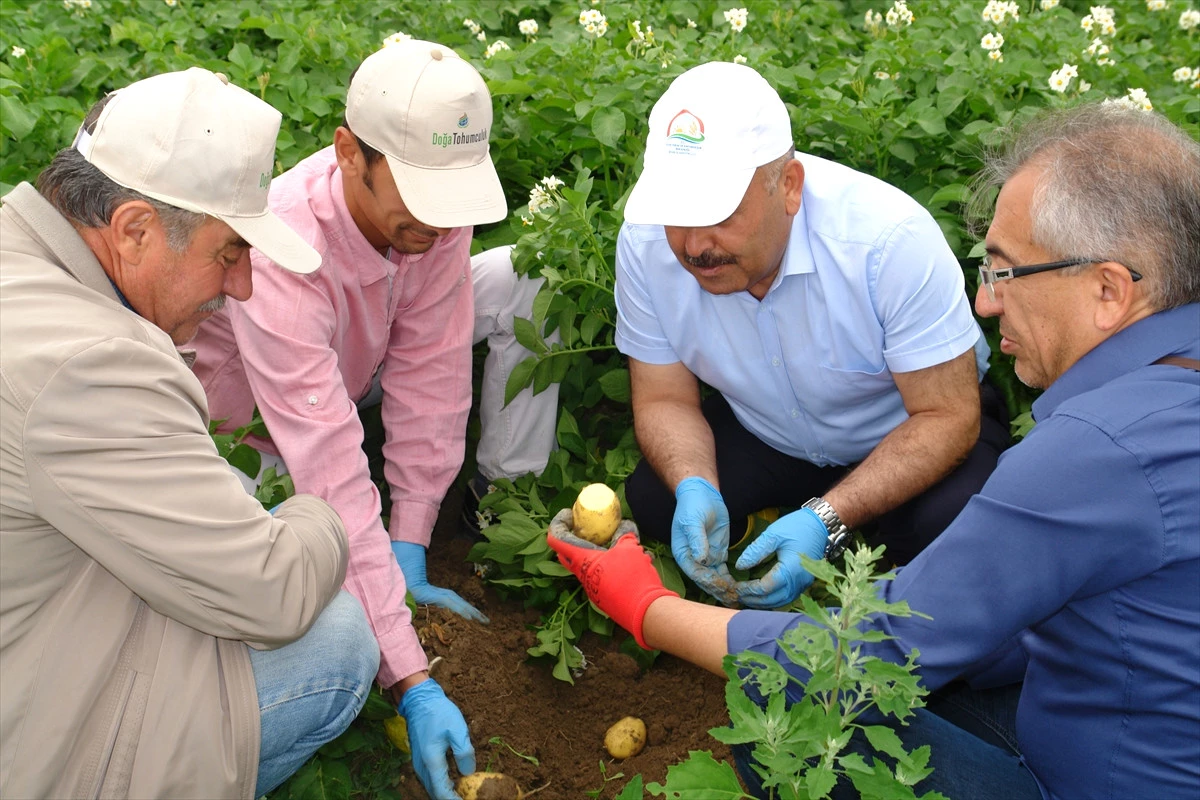 Yıldız, Sertifikalı Patates Tohumu Üretim Alanlarını Gezdi