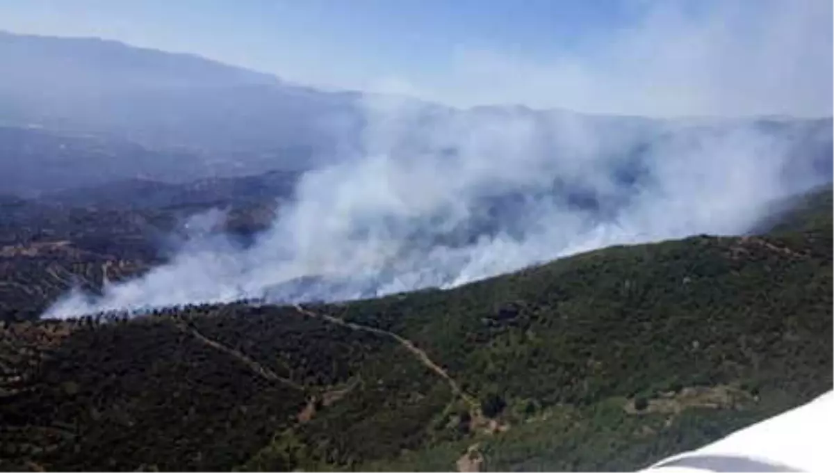 Yangında 2 Hektar Fıstık Çamı Ormanı Kül Oldu