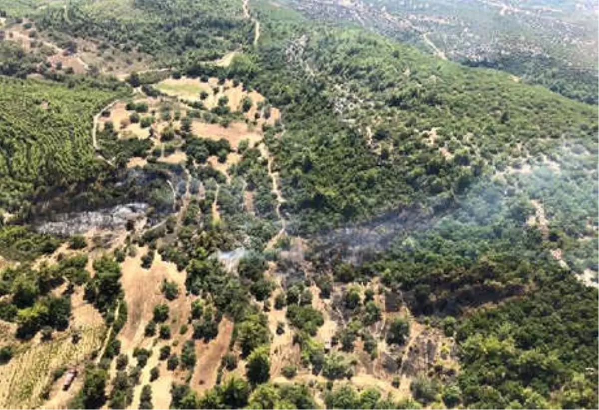 Antalya\'da Orman Yangında 1 Hektar Zarar Gördü