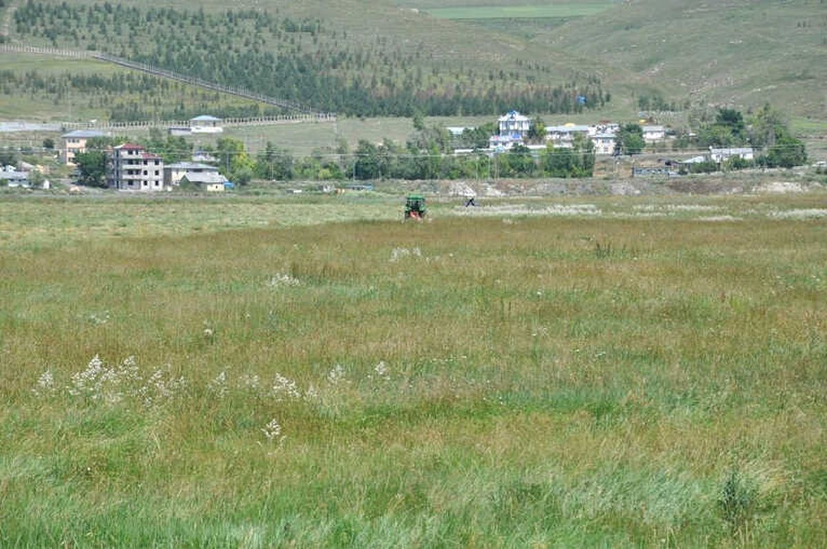 Kars\'ta Çiftçilerin Ot Biçme Mesaisi Başladı