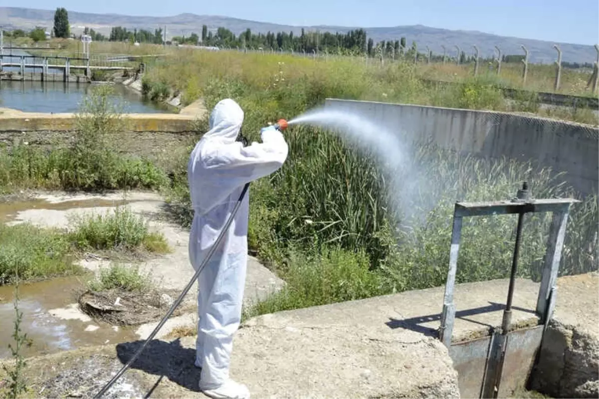 Kent Merkezi ve Kırsal İlaçlanıyor