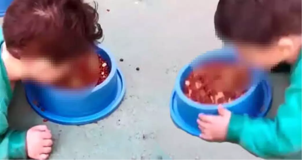 Oğluna Köpek Maması Yediren Cani Anne Her Yerde Aranıyor