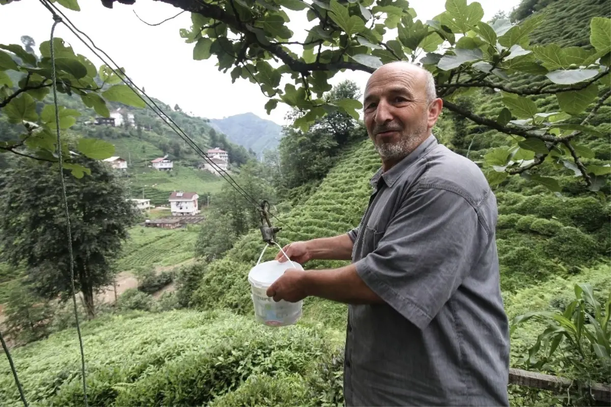 Rize\'de Çaydan Sonra Suya da Teleferikle Çözüm