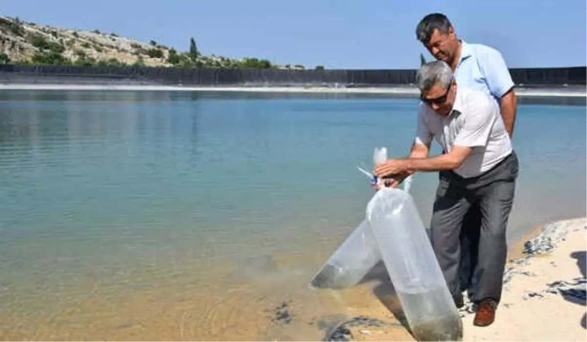 Su Kaynaklarının Balıklandırılması Projesi