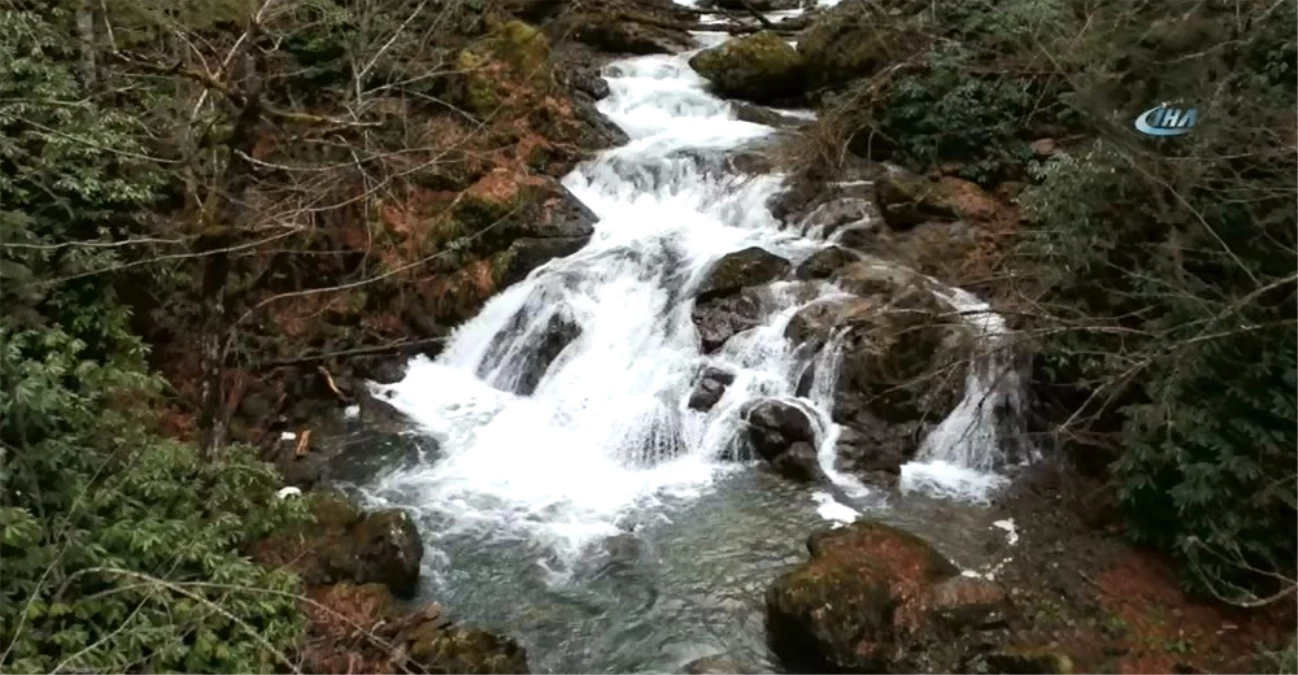 Batı Karadeniz\'in Gizli Kalmış Hazinesi