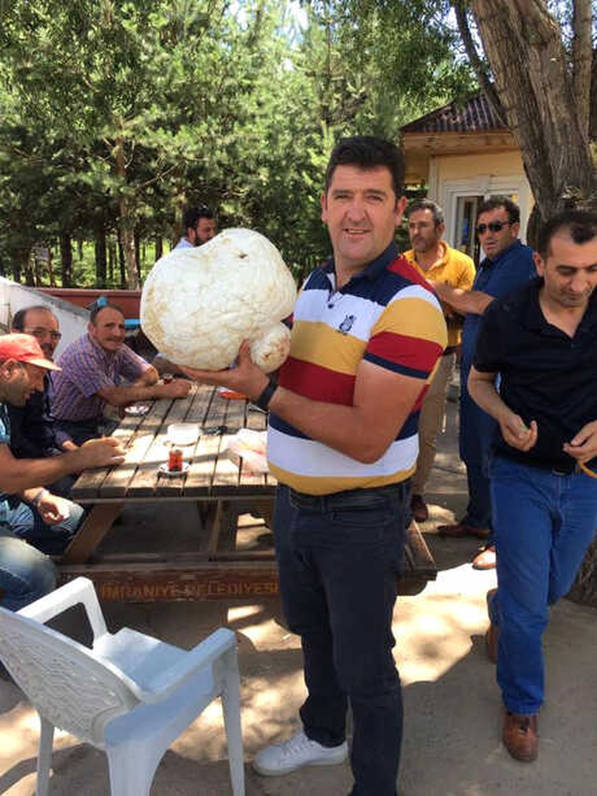 Bayburt\'ta Dev Mantar Şaşırttı