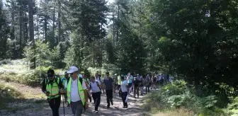 Doğa Tutkunları 7. Geleneksel Doğa Yürüyüşünde Yeşille Buluştu