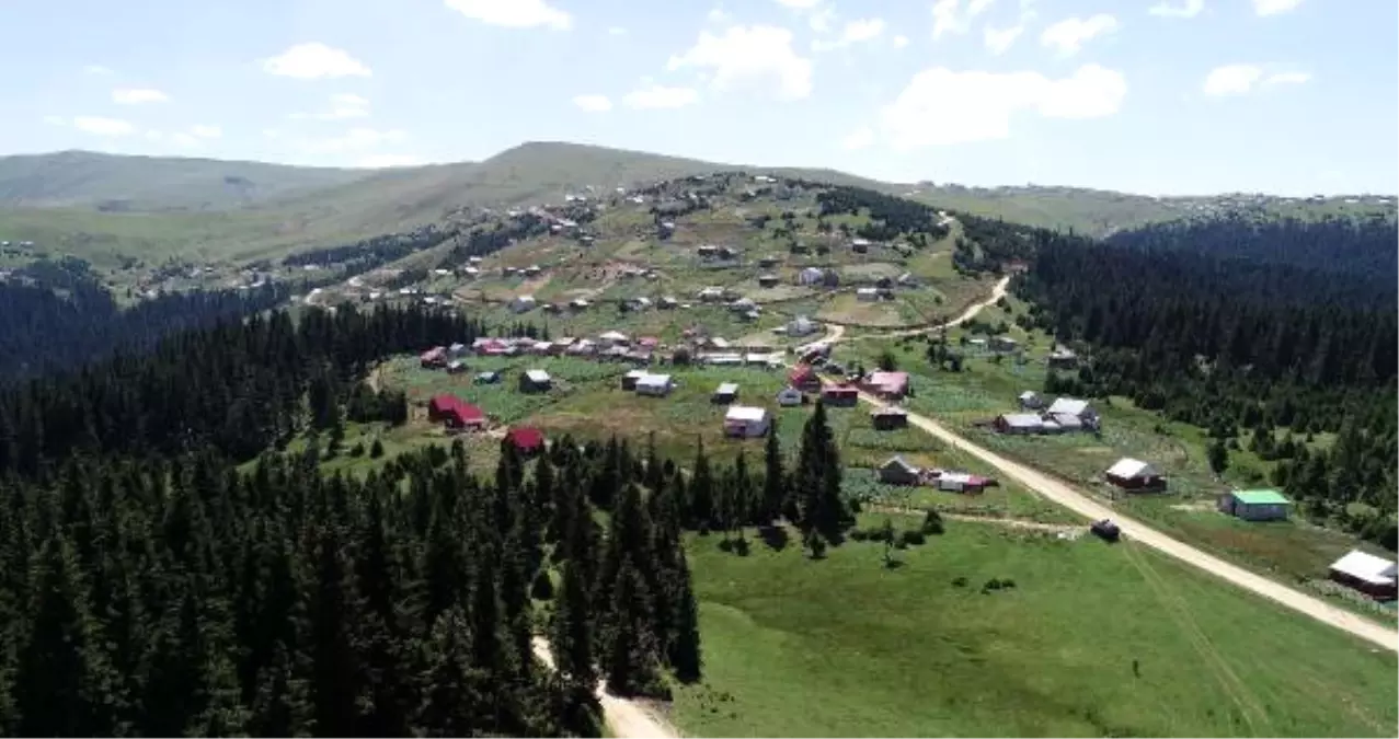 Giresun\'da PKK\'lı Teröristlerle Çatışma: 1 Asker Şehit (4)