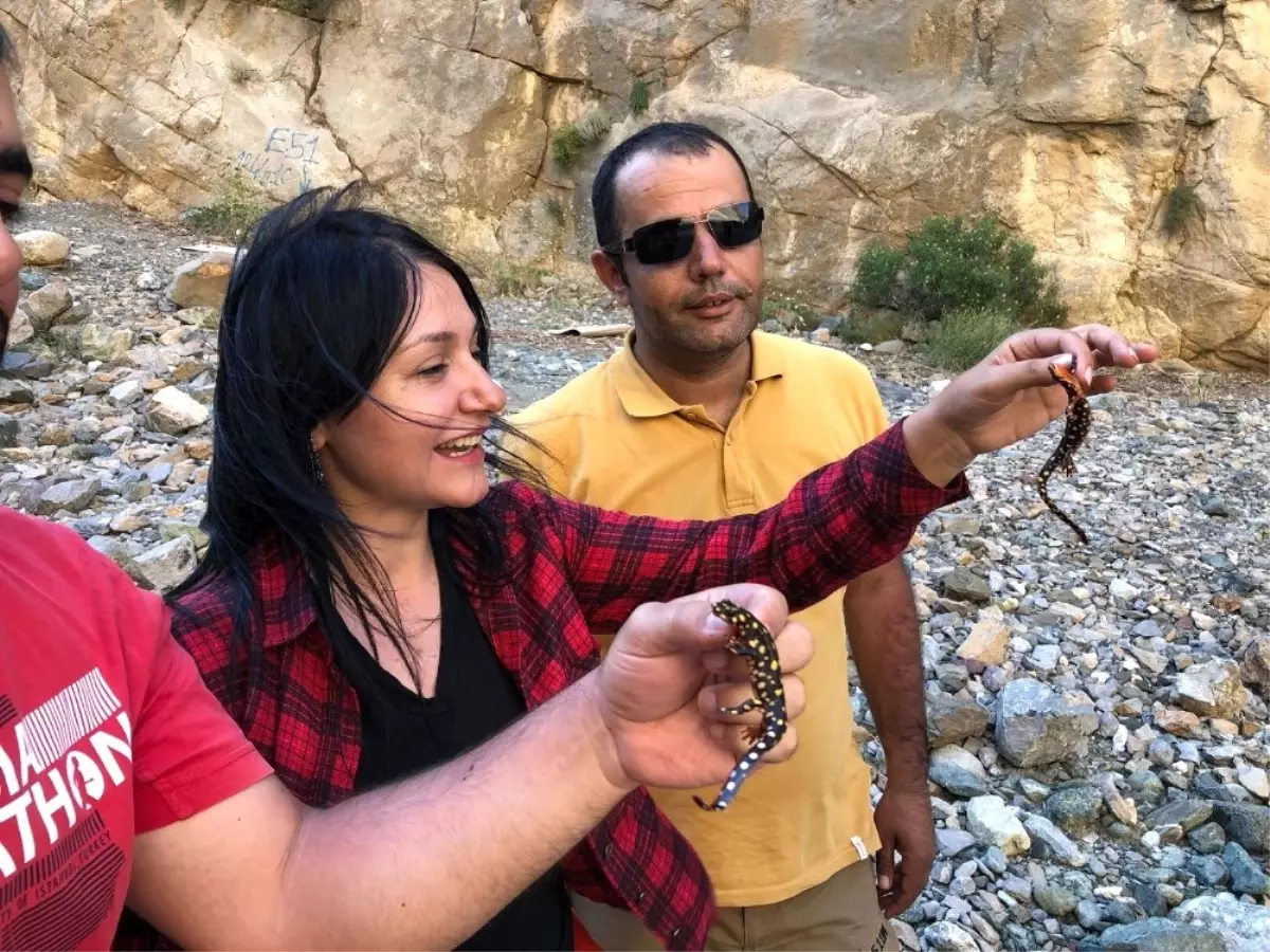 Hakkari\'de Biyolojik Çeşitlilik Envanteri Çıkartılıyor