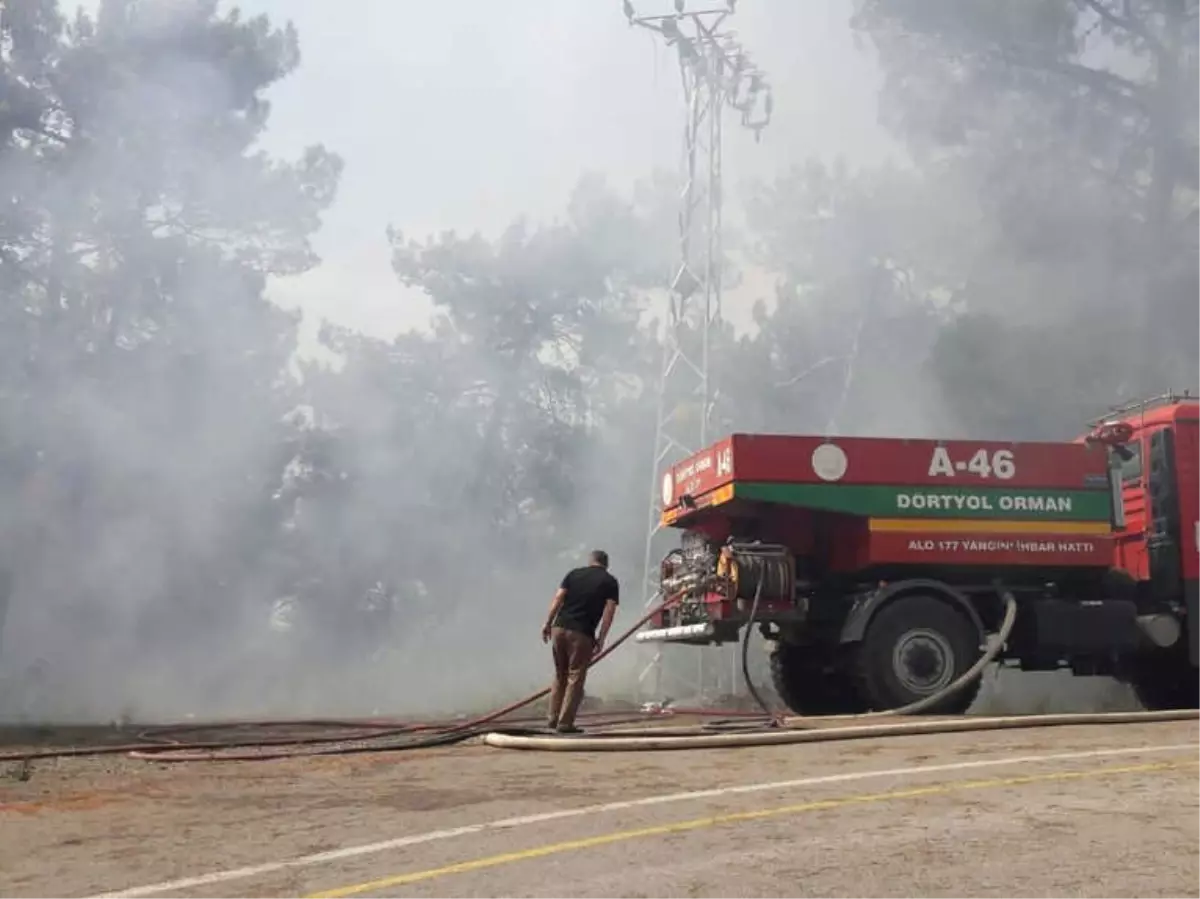 Hatay\'da Orman Yangını