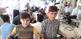 Öğrencilerin Tatil Harçlığı Böğürtlenden