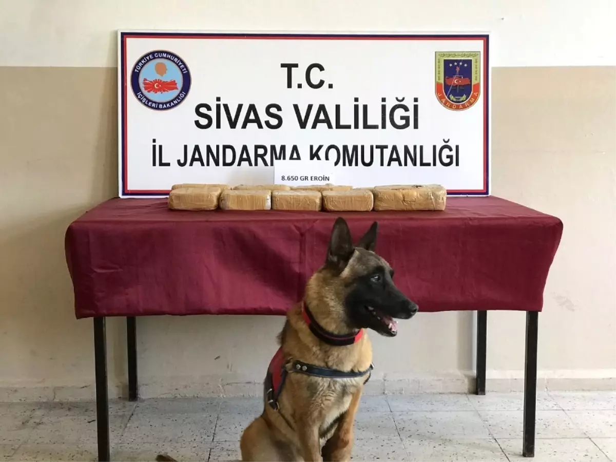 Sivas\'ta 8 Kilo 650 Gram Eroin Ele Geçirildi