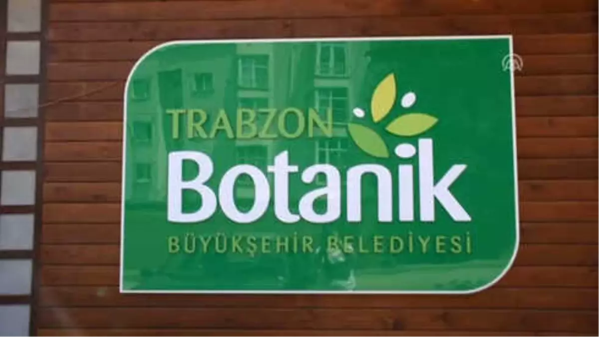 Trabzon Botanik"İn Tanıtımı Yapıldı