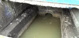 Zonguldak'ta Vahşet