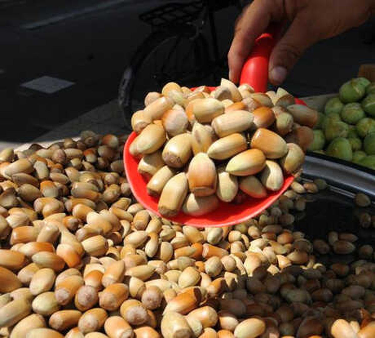 Adana\'da Yaş Fındık 30 Lira
