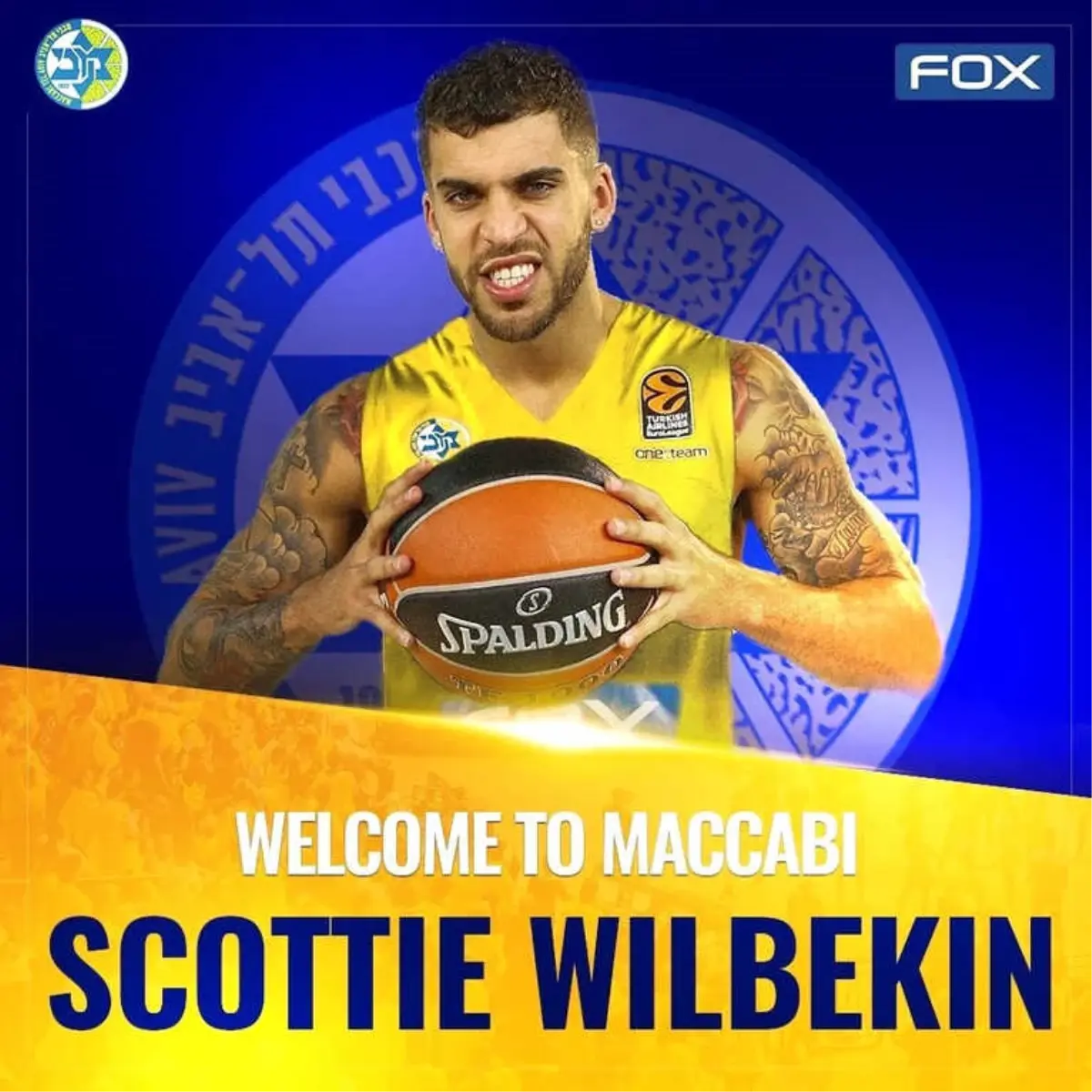 Scottie Wilbekin, Maccabi Tel Aviv\'de