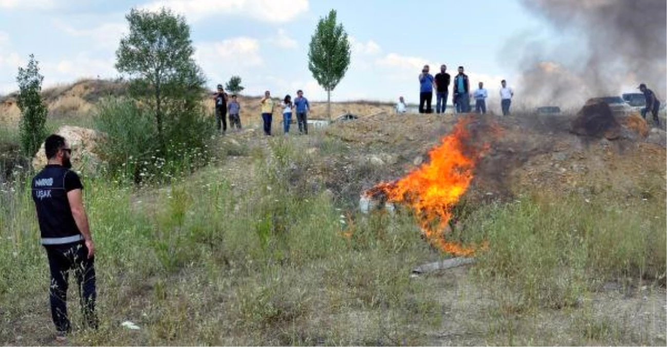 Uşak\'ta Ele Geçirilen Uyuşturucu Maddeler İmha Edildi