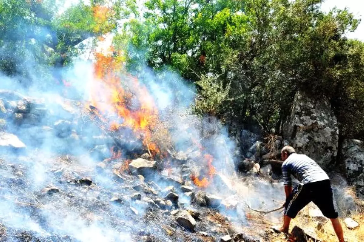 Bodrum 3 Hektar Makilik Yandı