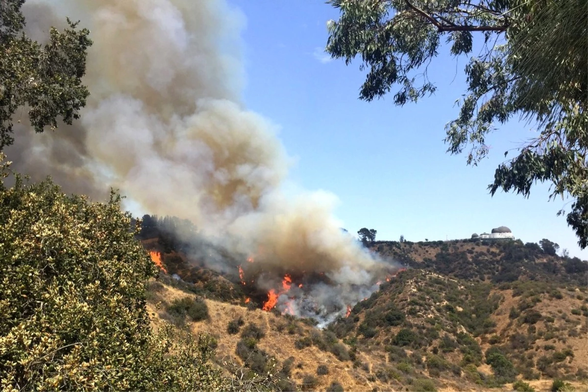 Griffith Park\'ta Yangın Çıktı