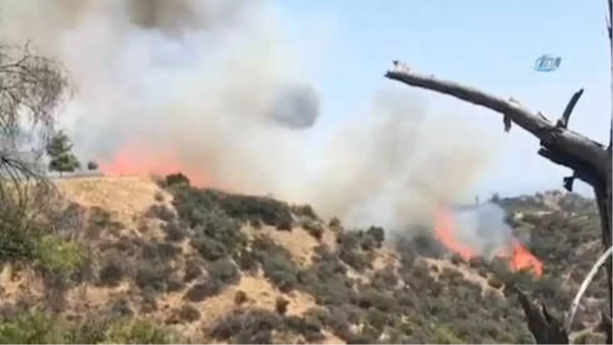 Griffith Park\'ta Yangın Çıktı