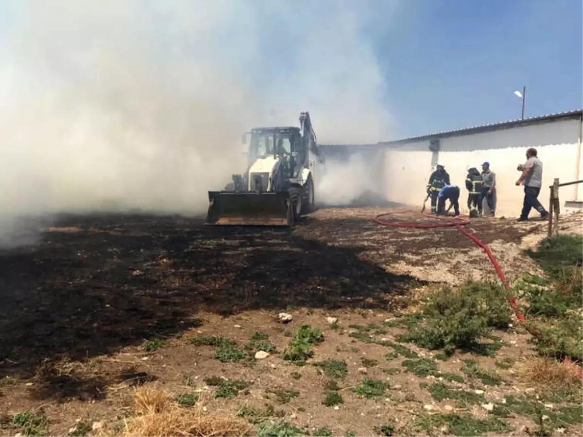 Karacabey\'de Çıkan Yangında Hayvanlar Telef Oldu