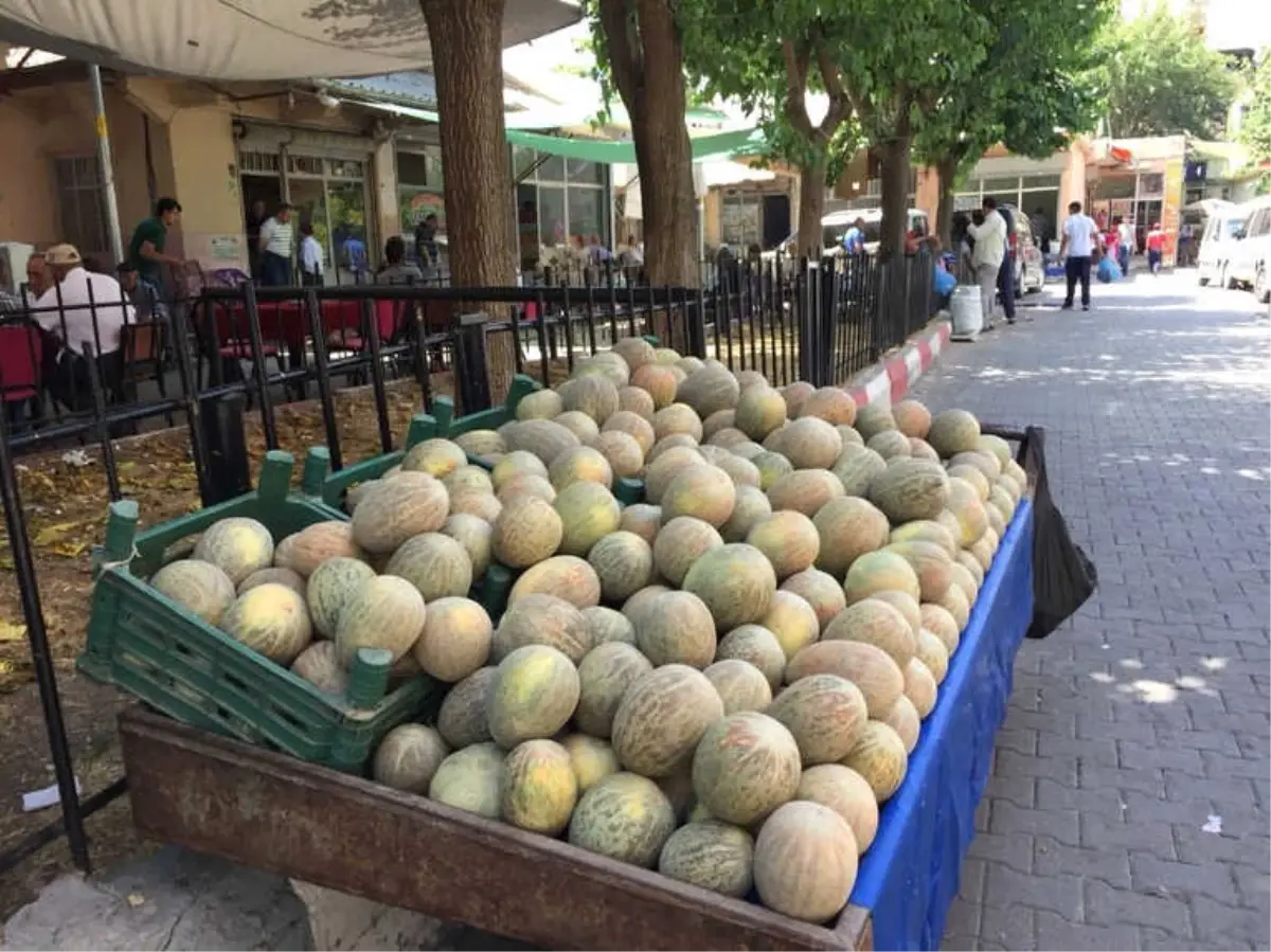 Siirt Yerli Kavunu Piyasaya Çıktı