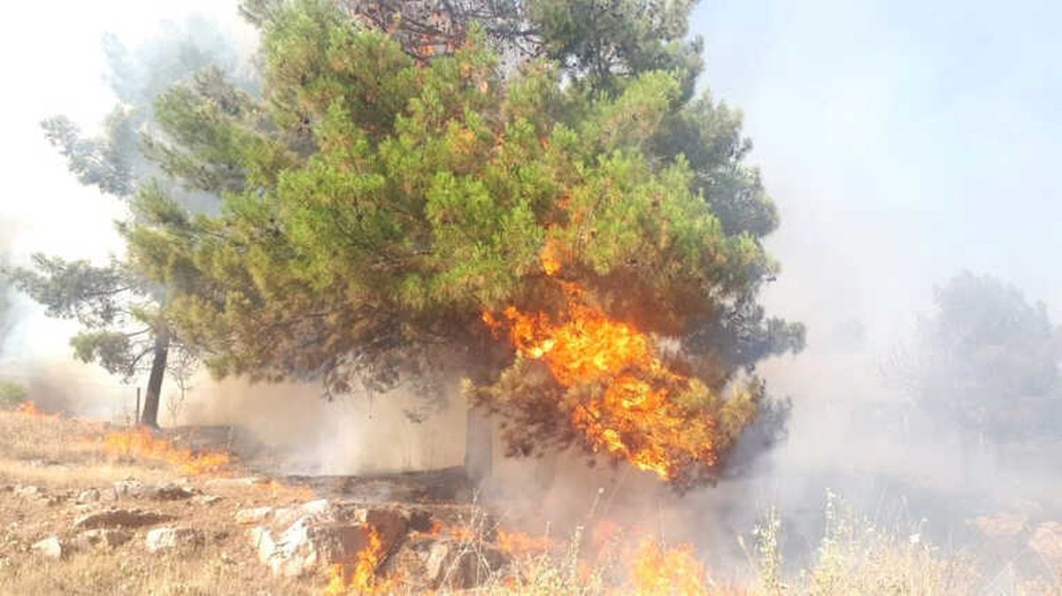 Adıyaman\'da Orman Yangını