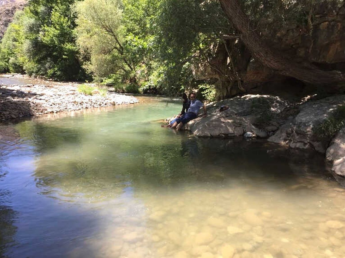 Arapgir\'e Hayran Kaldılar