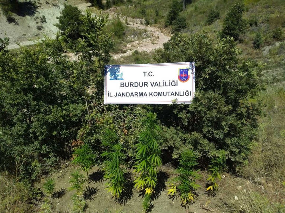 Burdur\'da Uyuşturucu Operasyonu: 1 Tutuklama