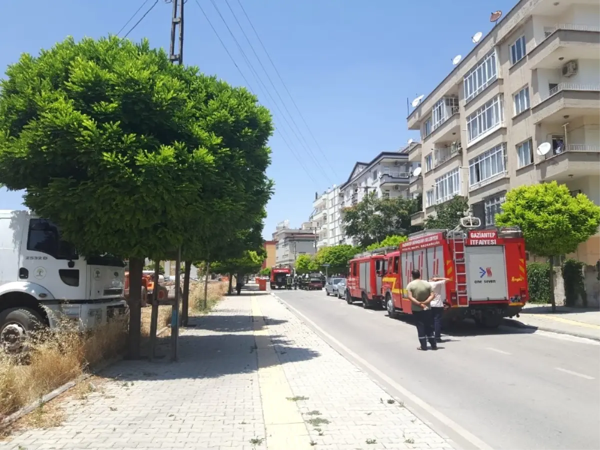 Gaziantep\'te Park Halindeki Araç Alev Aldı